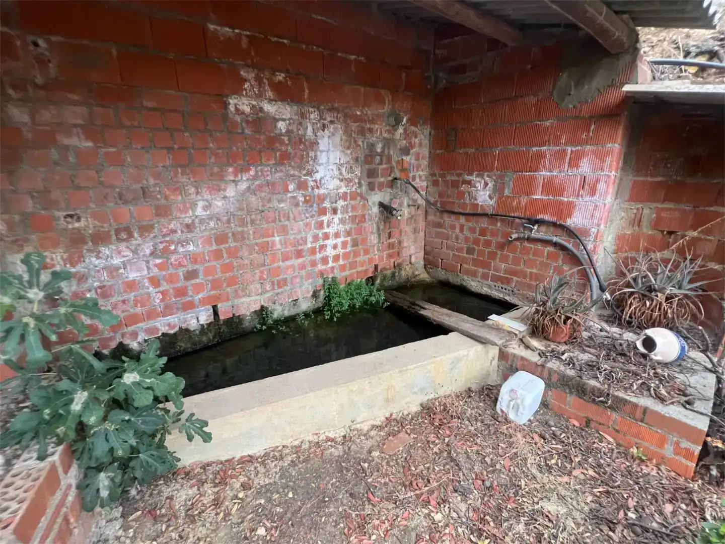 Piscina de Finca rústica en venta en Castañar de Ibor con Piscina