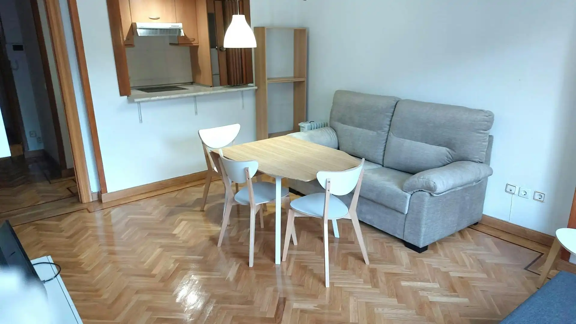 Living room of Flat for rent in Barrio de Salamanca