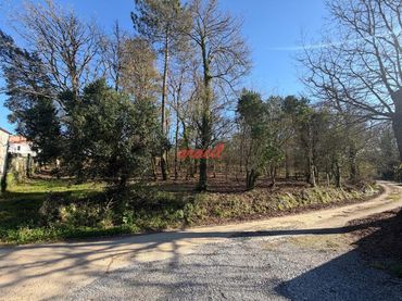 Terreno residenziale in vendita a San Rosendo