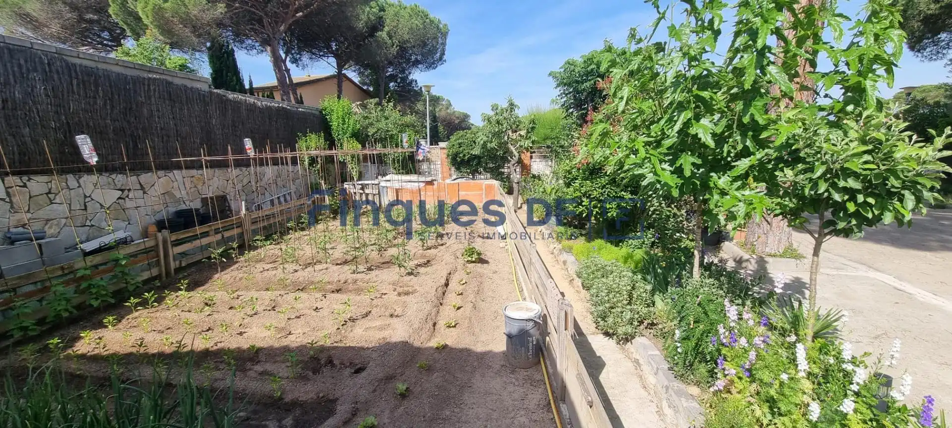 Villa à vendre à La Goba, imagen 22