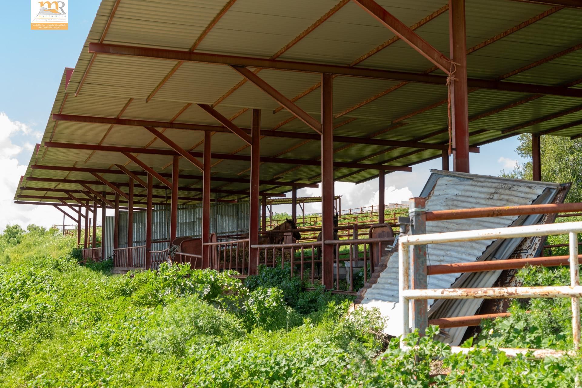 Vista exterior de Finca rústica en venda en  Cádiz Capital