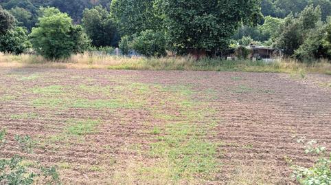 Foto 3 de Terreno en venta en Polígono Polígono 10 Parcela 38 el Castell. Castel, 38, Can Font - Ca n'Avellaneda, Castellar del Vallès