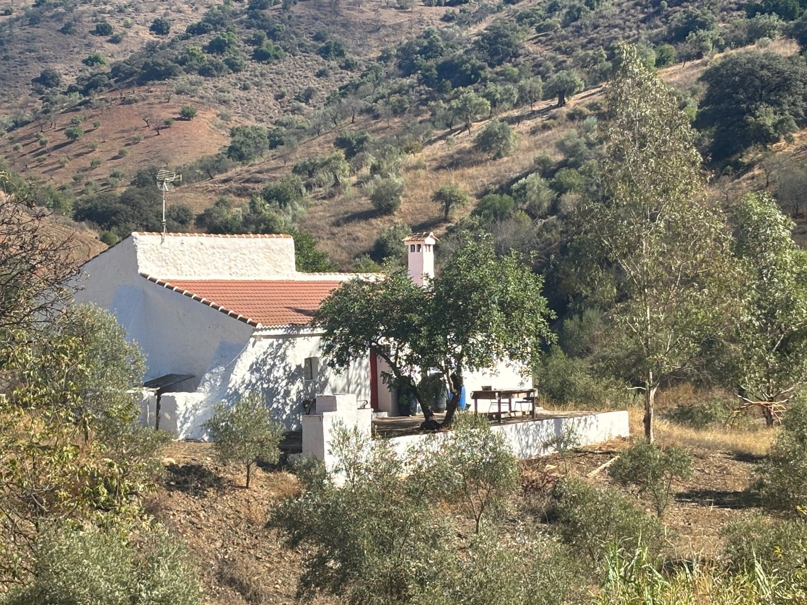 Vista exterior de Terreno en venta en Almogía