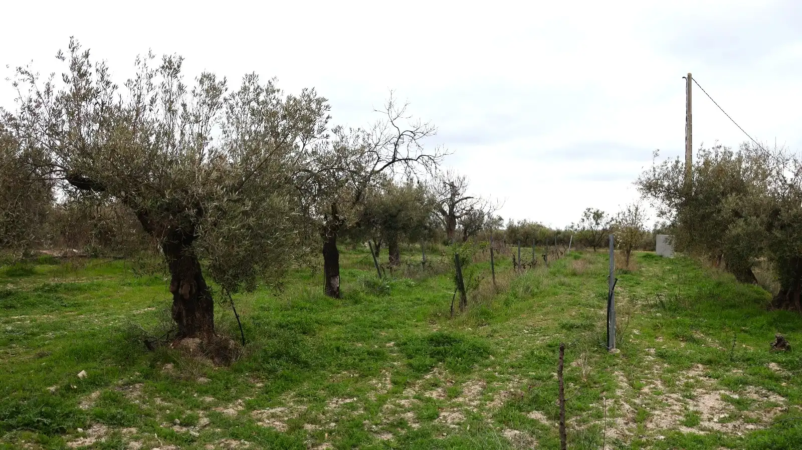 House for sale in Oria, imagen 30