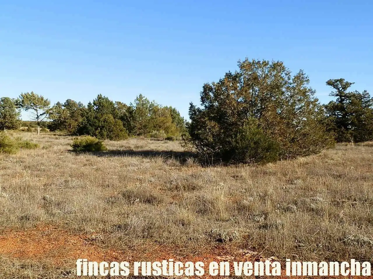 Lands and plots for sale in Ossa de Montiel, imagen 24