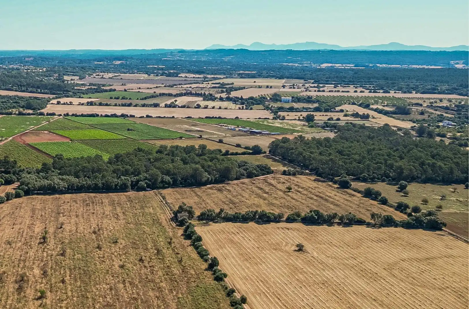 Terreny rústic en venda a Sencelles, imagen 9