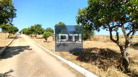 Foto 2 de Finca rústica en venda a San Juan del Puerto, Huelva