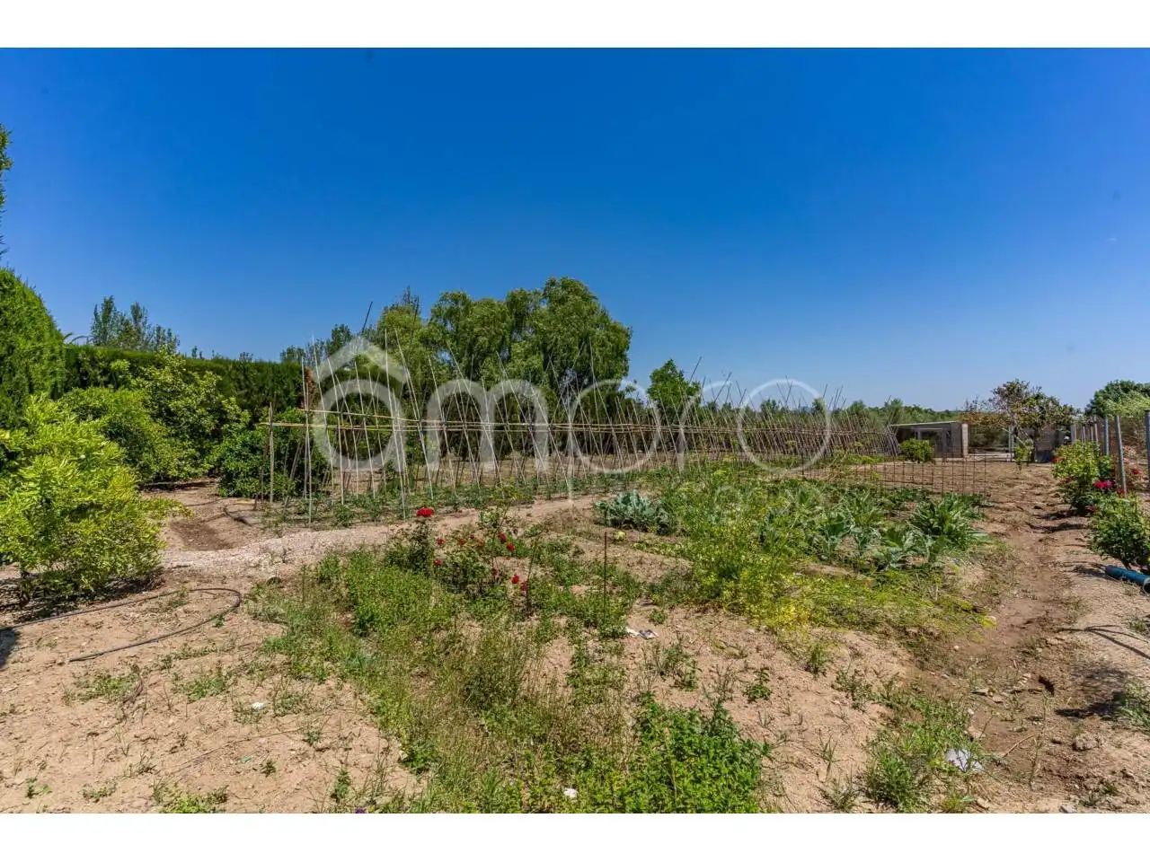 Finca rústica en venta en Vilallonga del Camp con Calefacción, Jardín privado y Terraza