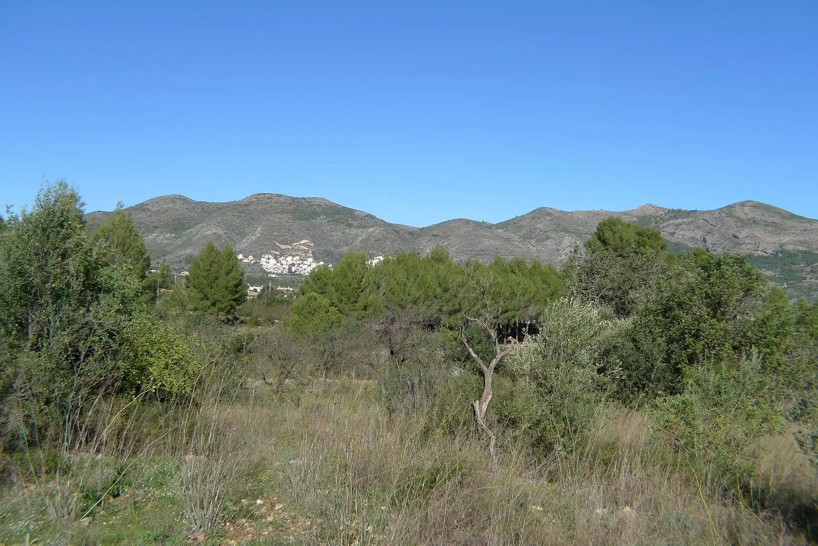 Terrenys i solars en venda a Xaló, imagen 9