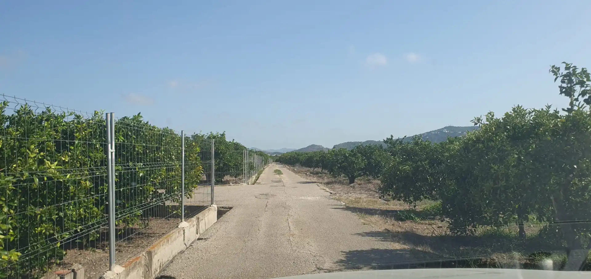 Terreno rustico in vendita a N/A, imagen 7