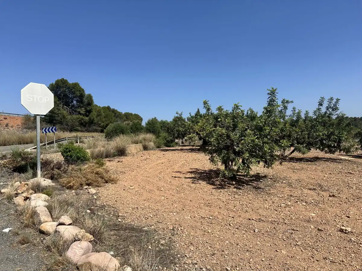 Terreno residencial en venta en Alfara de la Baronia, imagen 3