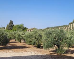 Finca rústica en venda a A-3130, Montilla