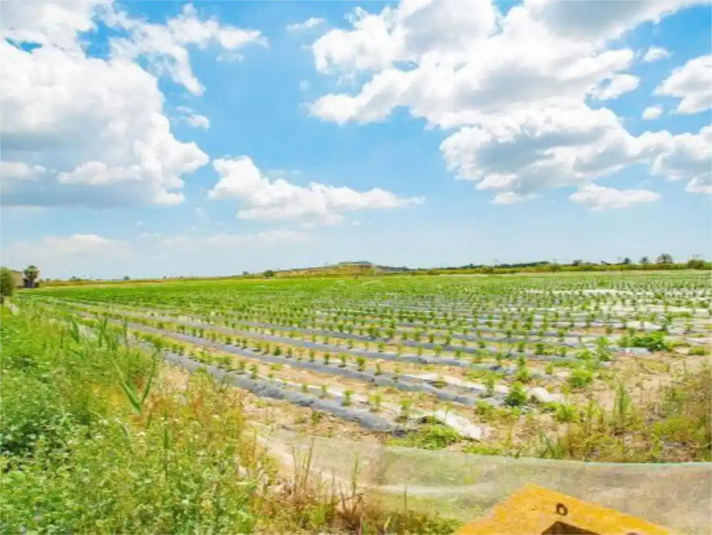 Finca rústica en venda en San Isidro