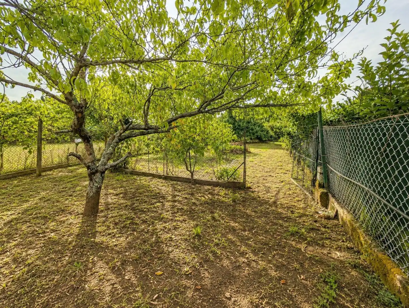 Maison avec jardin à vendre à Tui, imagen 40
