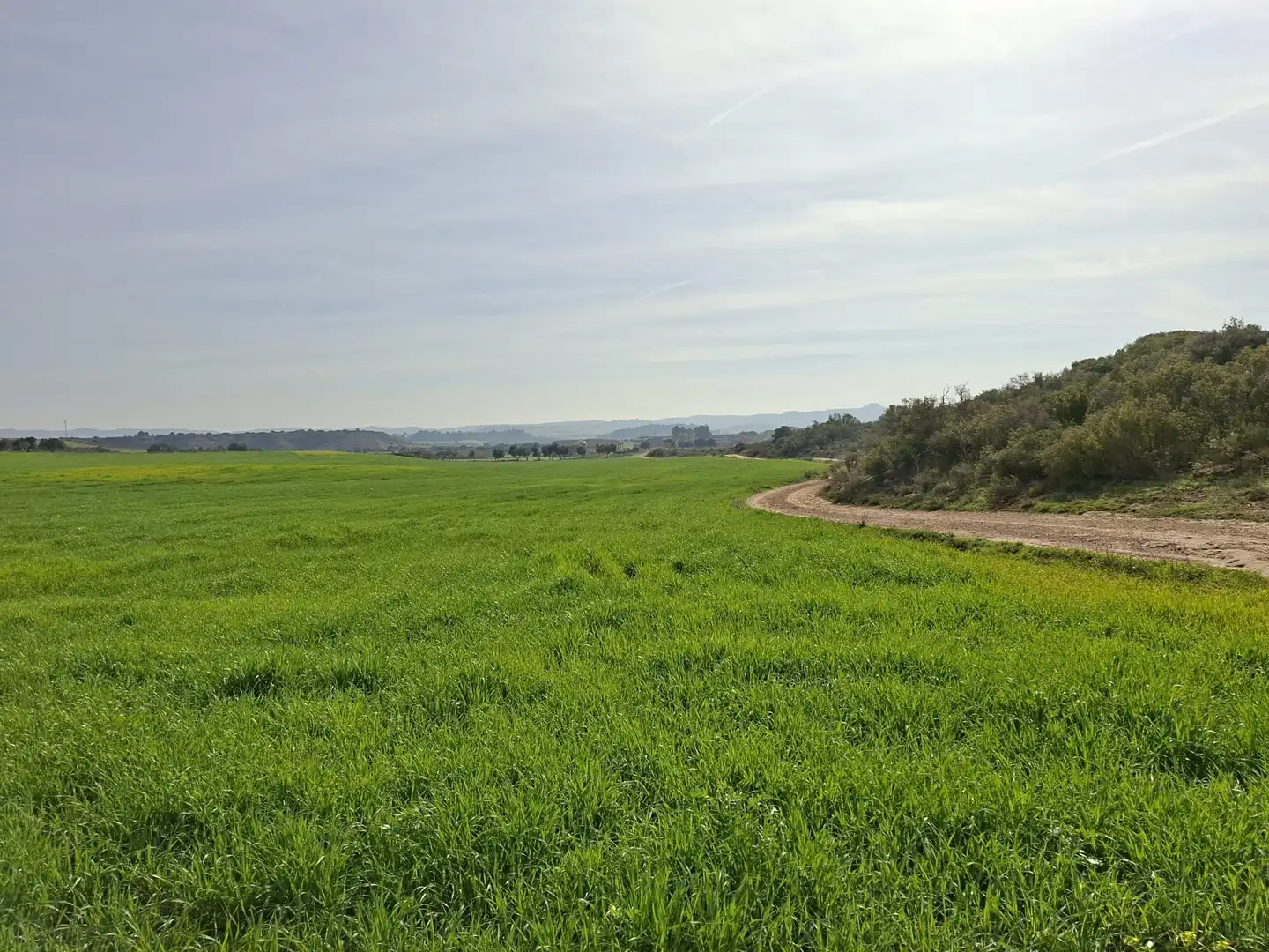 Terreni e lotti in vendita a Huerta Rimer de Alla, imagen 12