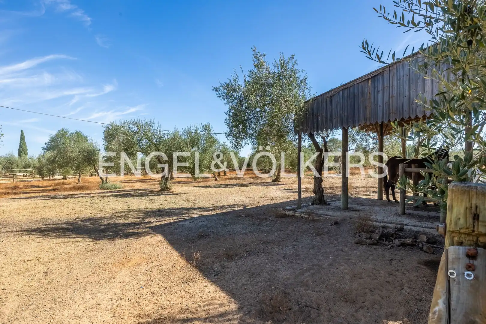 Casa rústica con jardín en venta en Casco Antiguo, imagen 93