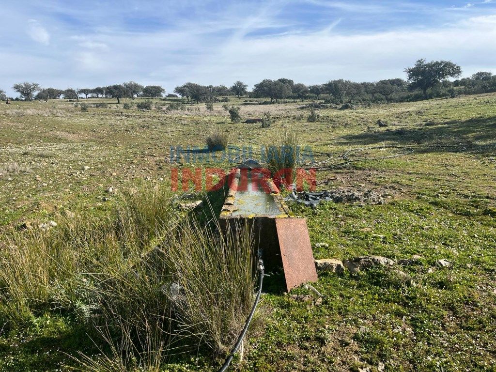 Finca rústica en venda en Puerto de San Vicente
