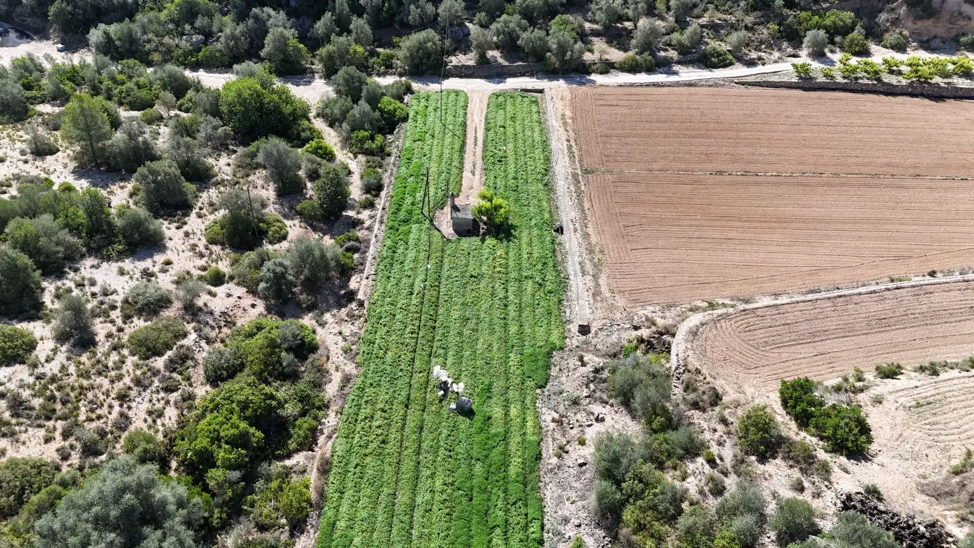 Terreno en venta en Tortosa