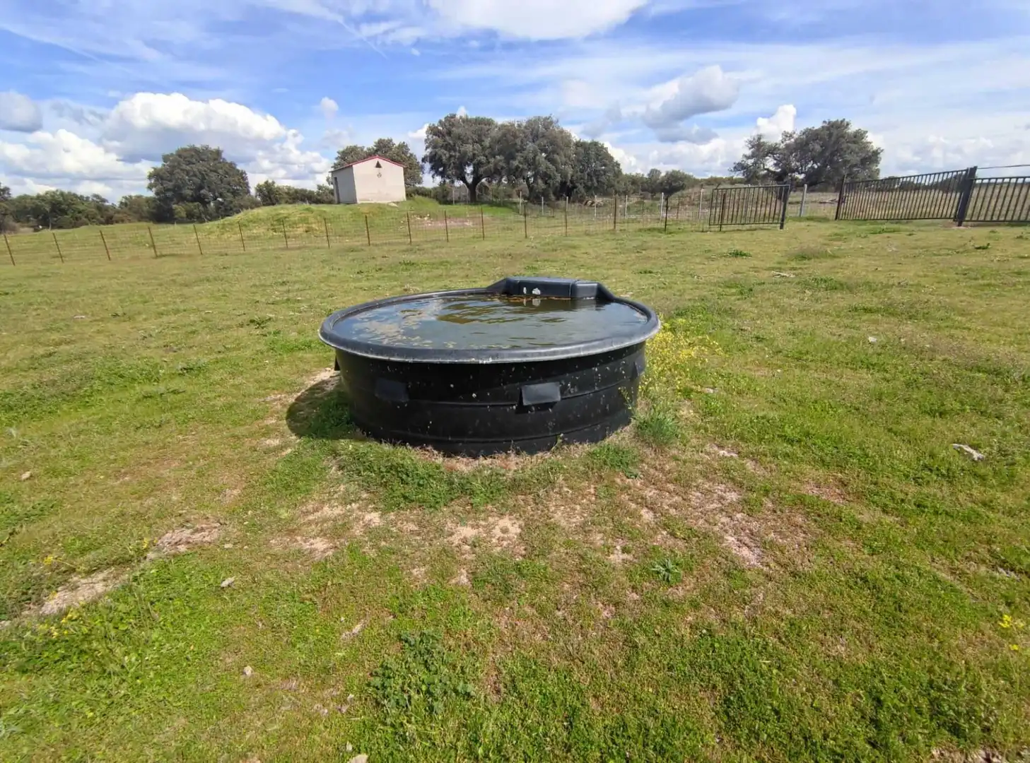 Piscina de Finca rústica en venta en Maello