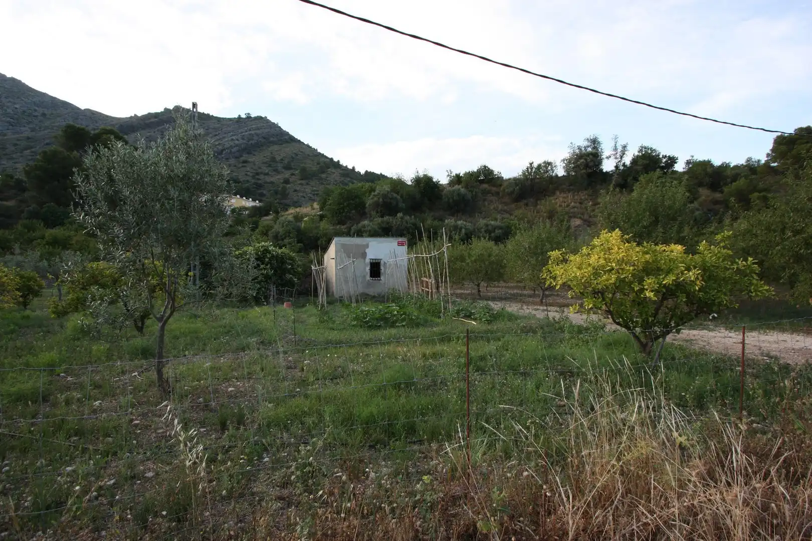 Maison rustique à vendre à Murla, imagen 8