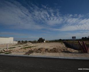 Industrial land for sale in Bigastro