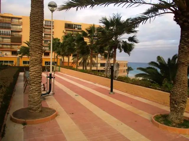 Apartament amb ascensor de lloguer a Carrer el Pinós 18, imagen 25