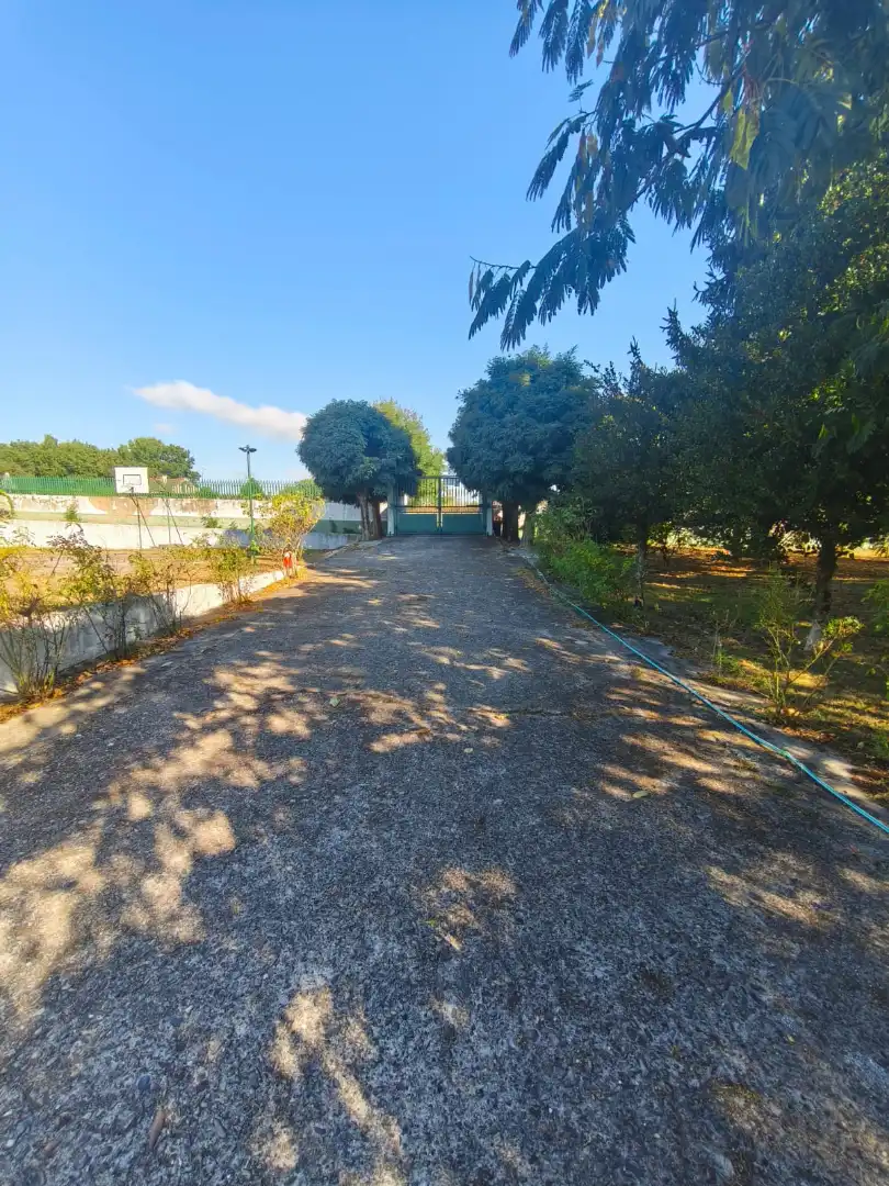 Chalet con terraza en venta en Coles, imagen 53