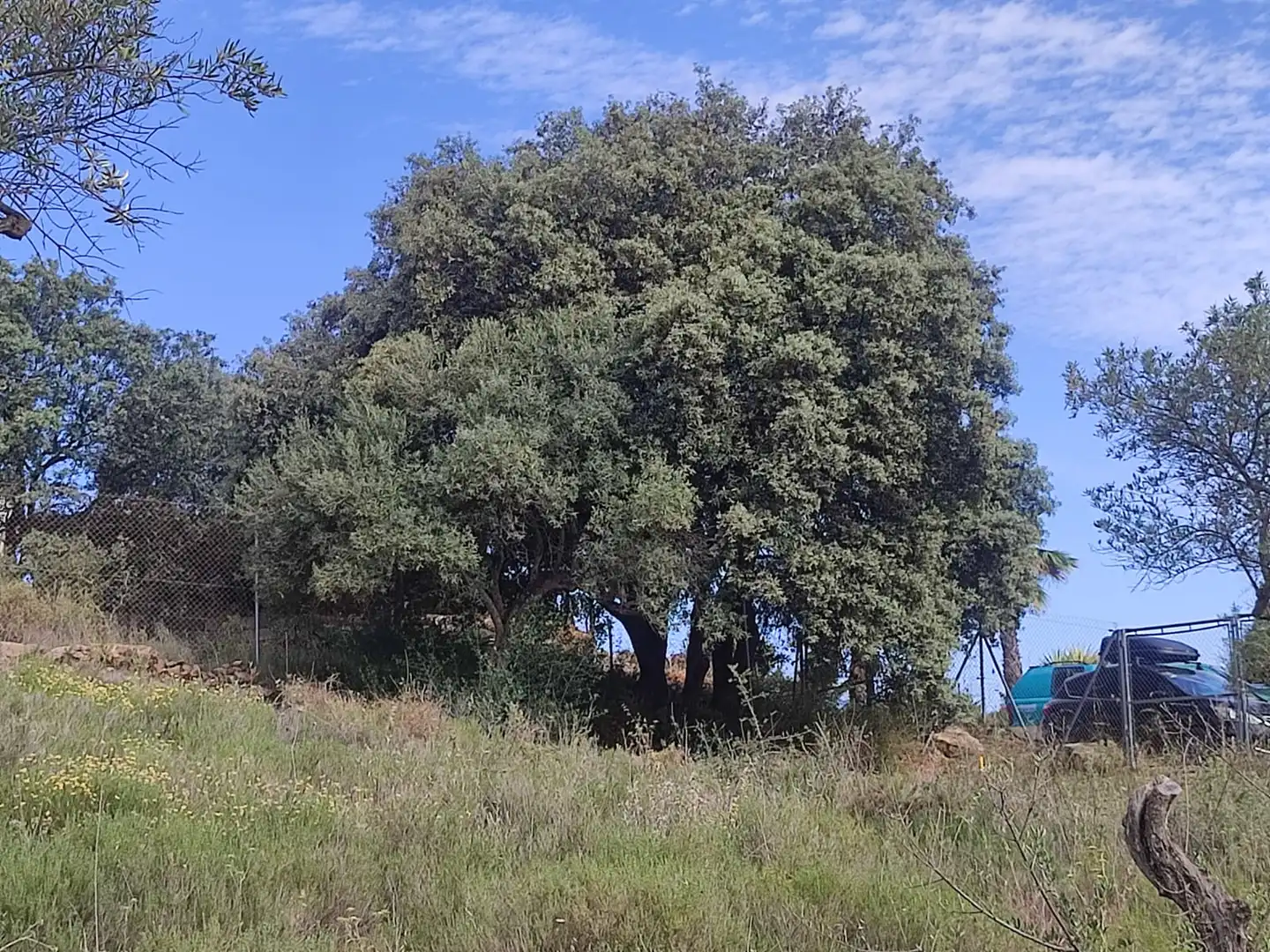 Terreno residenziale in vendita a Coín, imagen 9