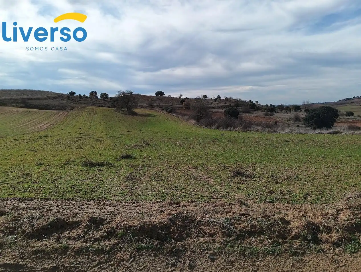 Terreno rústico en venta en Zona Rural, imagen 5