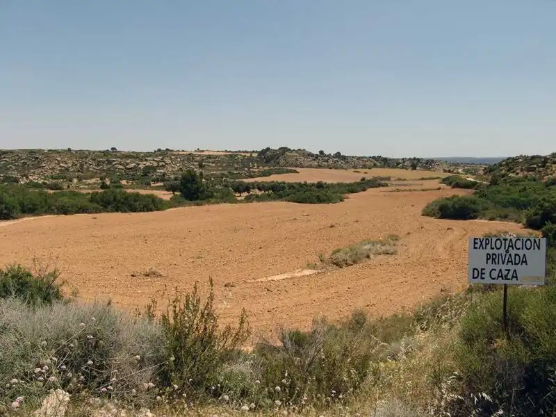 Finca rústica en venta en Alcañiz