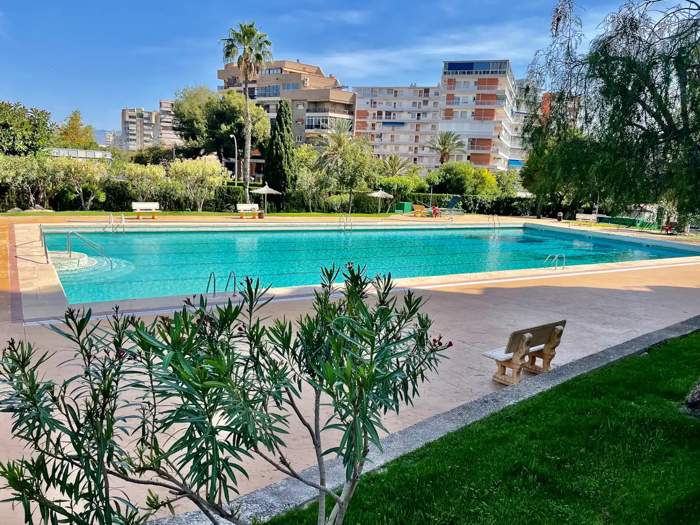 Pis amb piscina en venda a Playa de San Juan - El Cabo de las Huertas, imagen 17