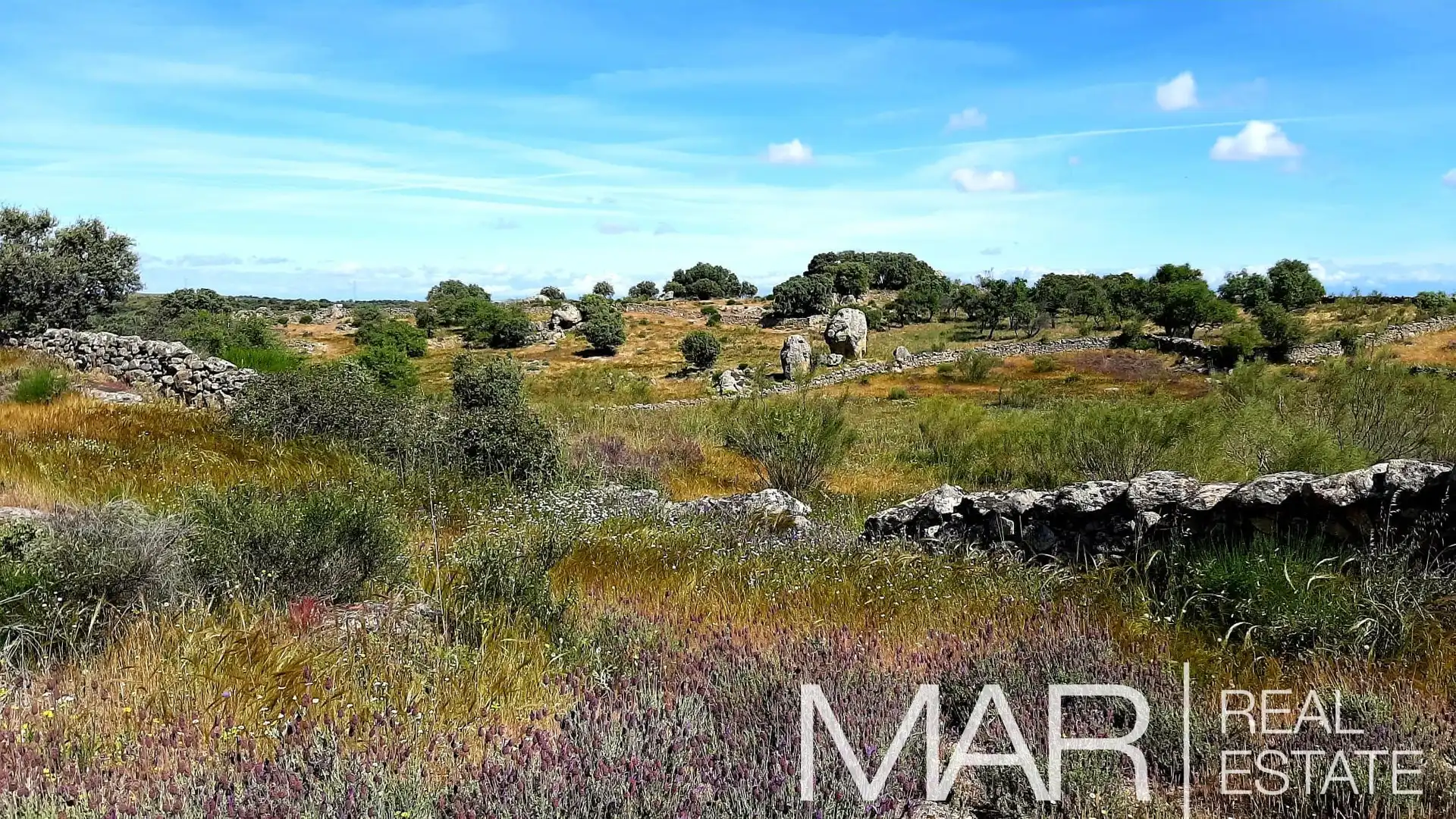 Terreni e lotti in vendita a Villar del Pedroso, imagen 4
