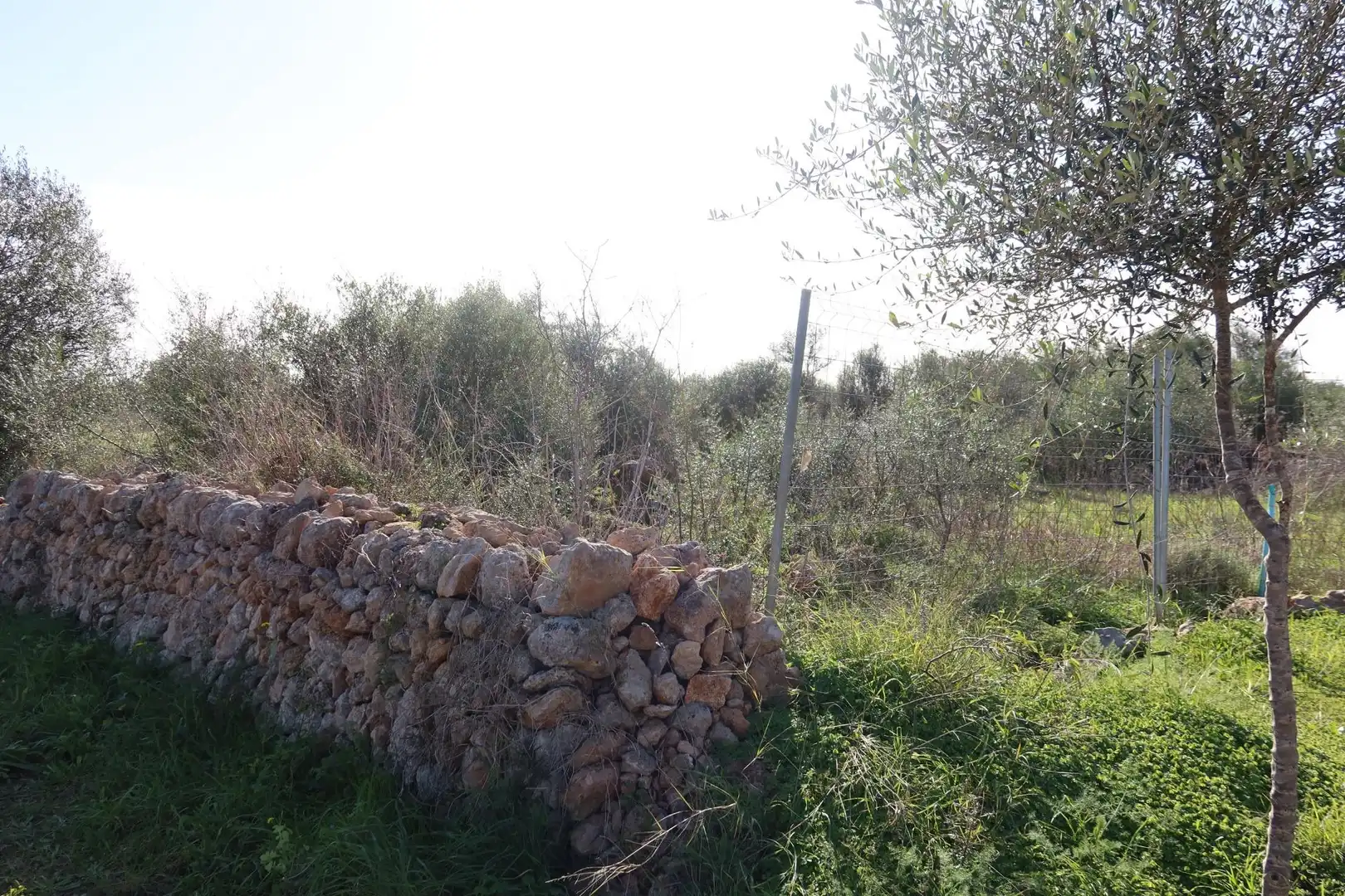Residential land for sale in Campos poble, imagen 7