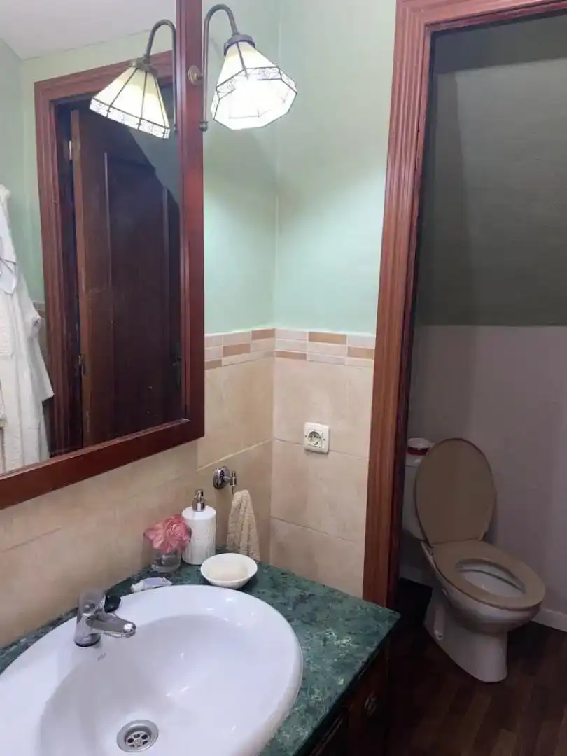 Bathroom of Lofts for sale in Bornos  with Storage room