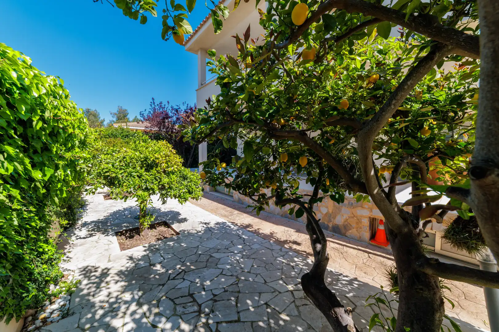Jardí de Casa o xalet en venda en Marratxí amb Aire condicionat, Jardí privat i Terrassa