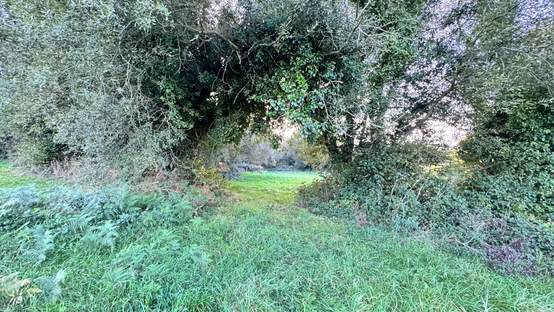 Casa amb jardí en venda a Bocixa, imagen 68