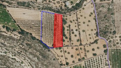 RUSTICALLOMBAY FINCA REGISTRAL 6950