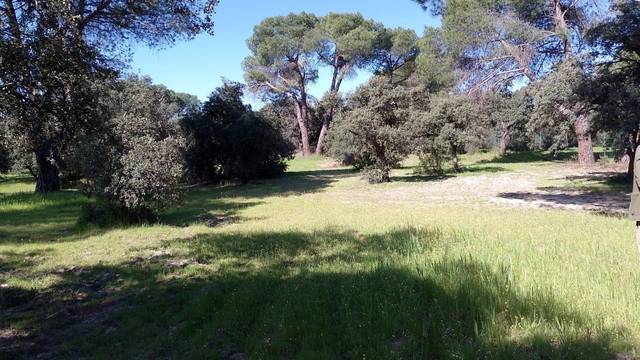 Terreno residencial en Venta en Monteclaro