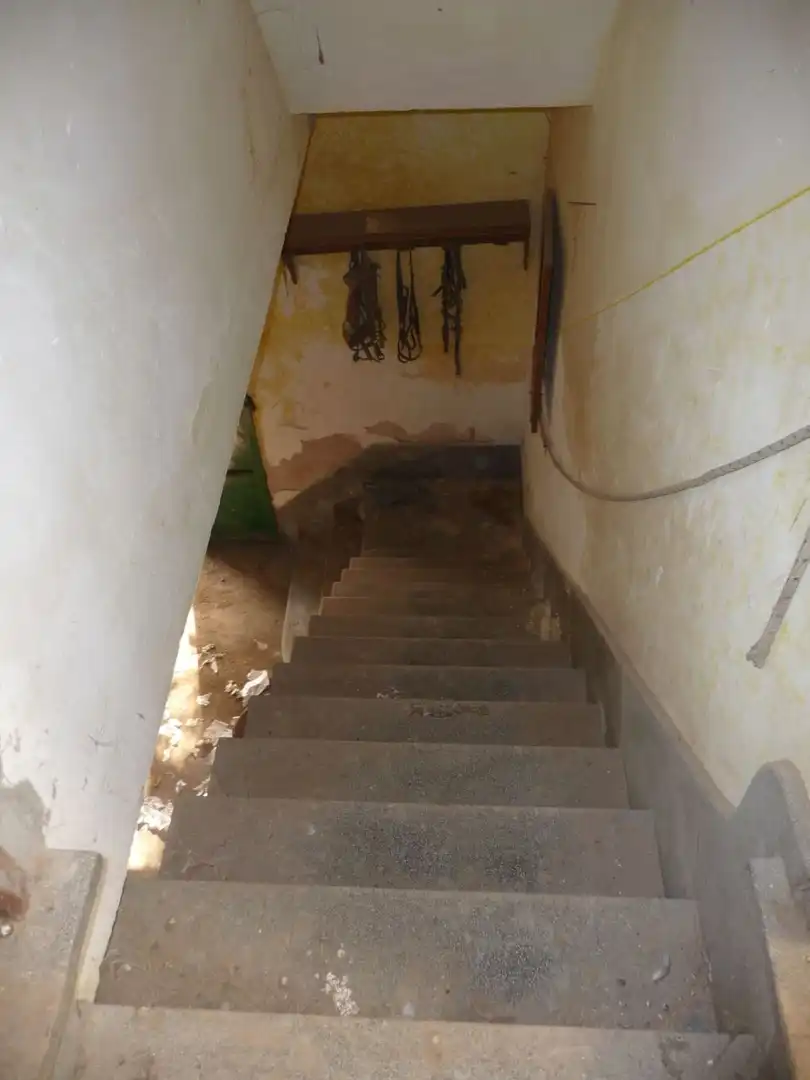 Finca rústica en venda a Son Ferriol