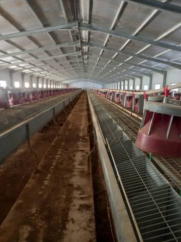 Terreno en Venta en Fuenterrobles