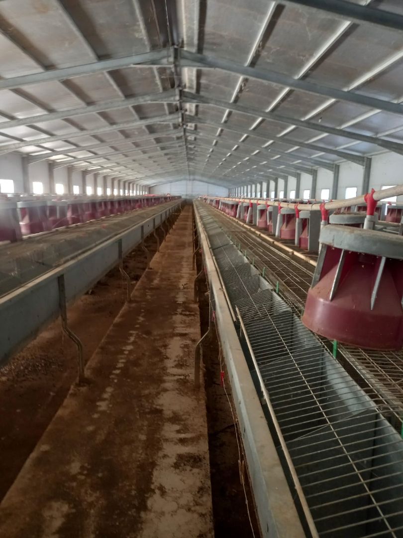 Exterior view of Land for sale in Fuenterrobles