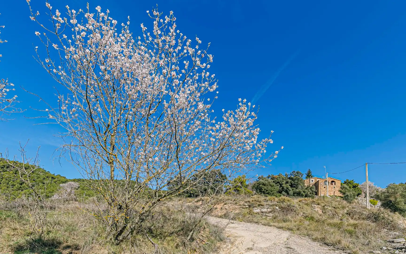 Vista exterior de Finca rústica en venta en Navès con Calefacción, Jardín privado y Terraza