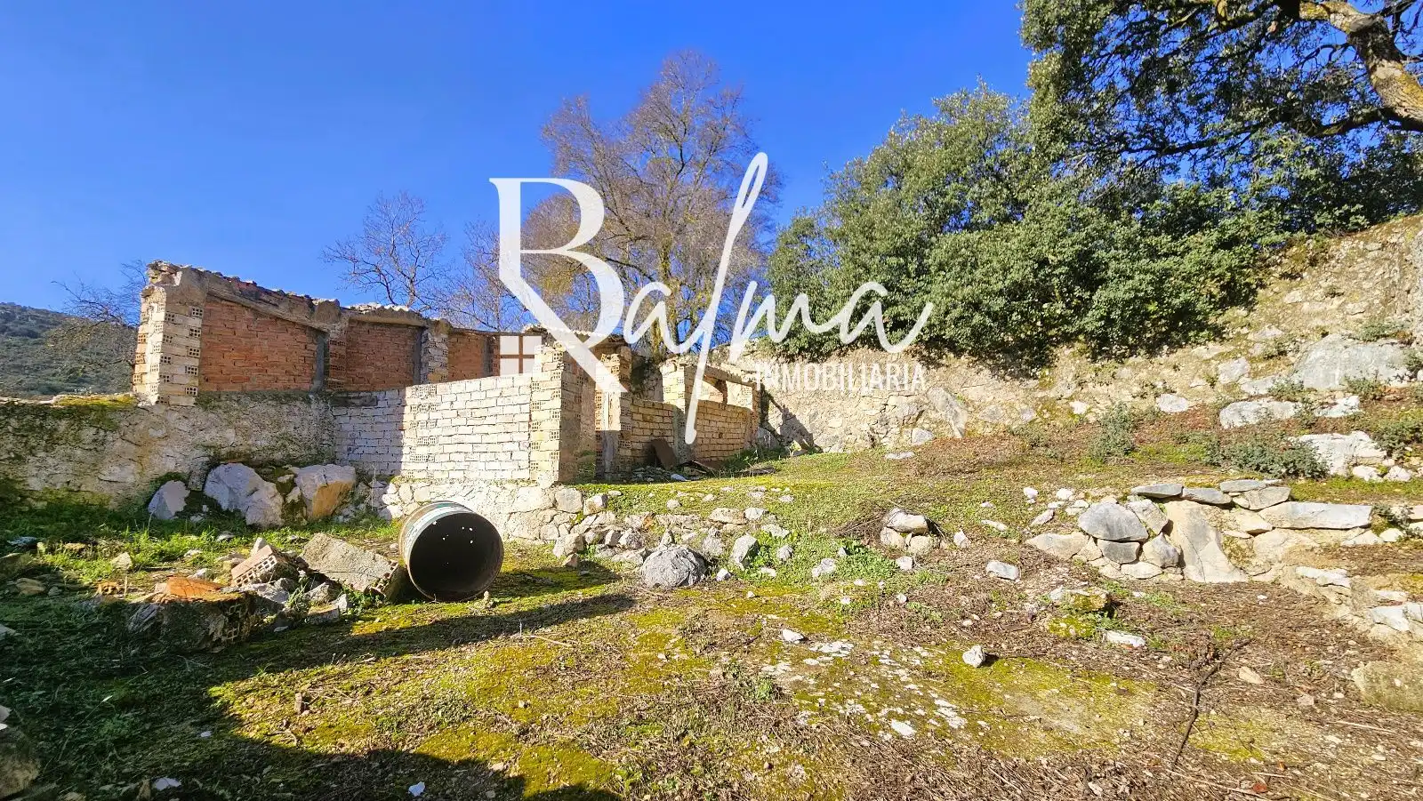 Casa o chalet en venta en Alfarnate