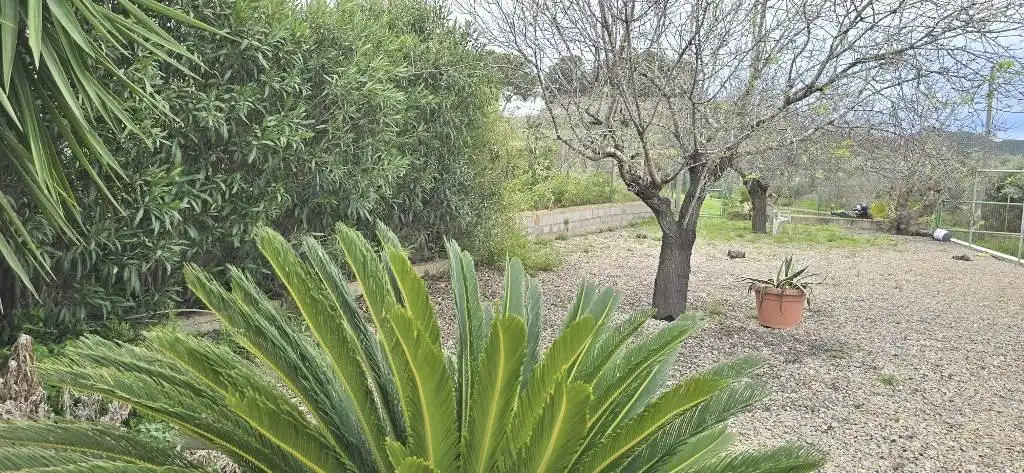 Garden of Houses for sale in Cartagena  with Air Conditioner, Private garden and Terrace