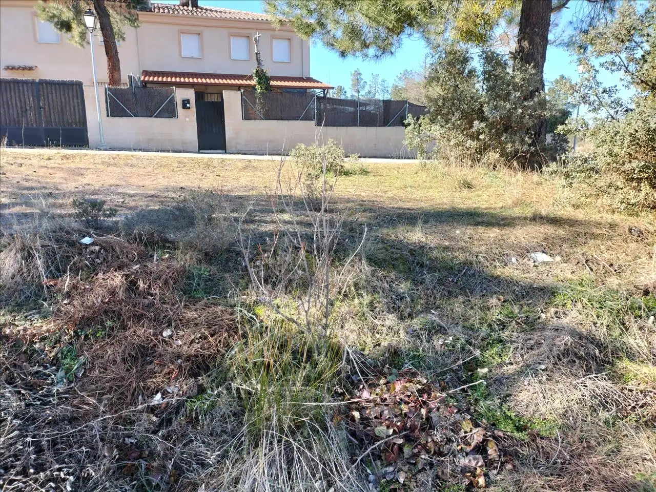 Terreni e lotti in vendita a Lago, imagen 9