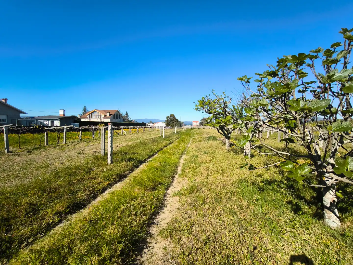 Residencial en venta en Vilanova de Arousa