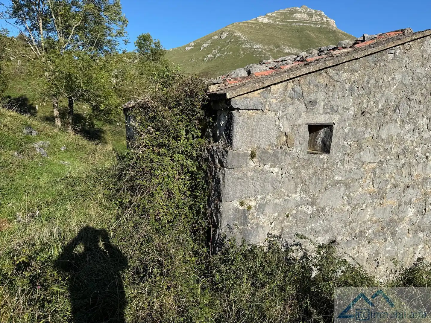 Vista exterior de Finca rústica en venta en Ruesga