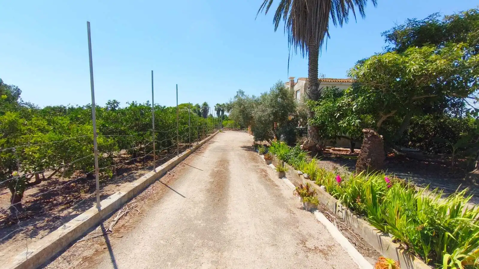 Casa o chalet en venta en Sueca con Terraza y Piscina