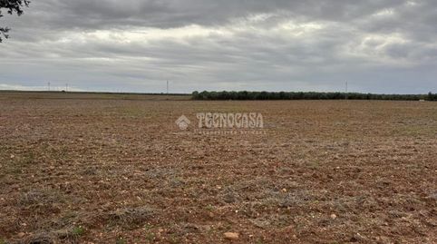 Foto 5 von Country house zum Verkauf in Écija, Sevilla