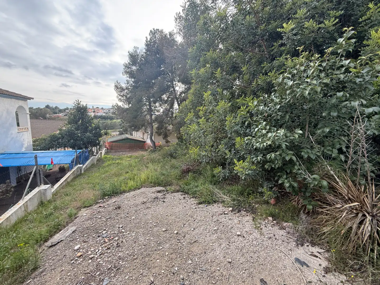 Terreny residencial en venda a Urbanizacion Poblamar 3131, imagen 6